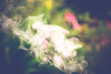 White smoke over defocused green foliage and flowers vintage background.