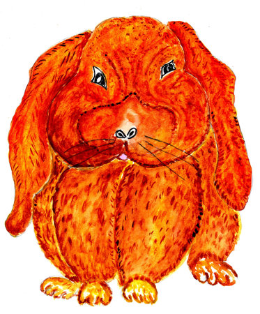 Cartoon lovely rabbit, bunny, hand drawn illustration.の写真素材