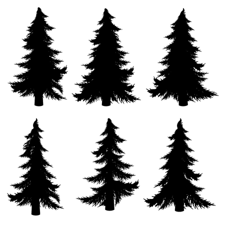 Collection of stylized black silhouettes of fir tree on white background.のイラスト素材