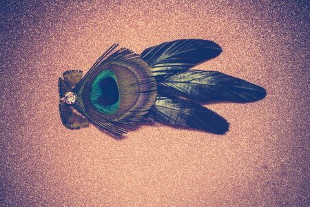 Fashion hair clip decorated with peacock feathers and white zircon, vintage backgroundの写真素材
