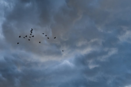 Dramatic stormy black sky clouds before rain, natural background.の写真素材