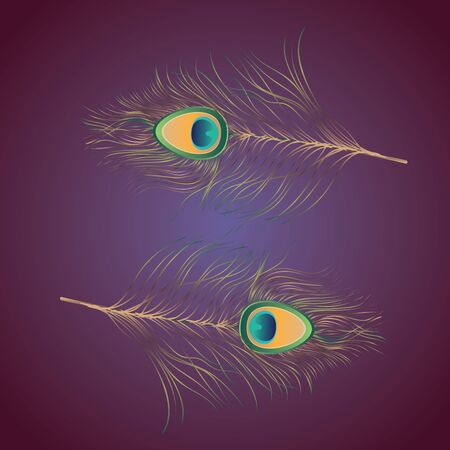 Decorative colorful peacock feathers illustration, peacock plumage.のイラスト素材