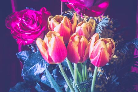 Bouquet with bright red roses and decorative tulips over silk, filtered background.の写真素材
