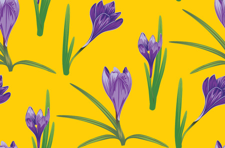 Spring flowers, purple blooming crocus or saffron design.のイラスト素材