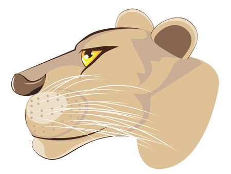 Cartoon illustration of a lioness head on white background.のイラスト素材