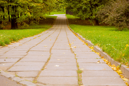 Old road pavement in the city park, natural background.の写真素材