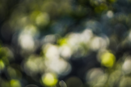 Defocused dust particles against sun, shimmering bokeh effect.の写真素材