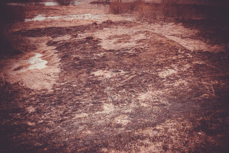 Burning field of dry grass in the early spring.