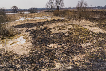Burning field of dry grass in the early spring.の写真素材