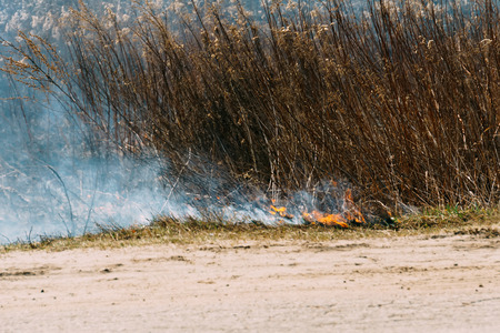 Burning dry grass in smoke and fire, early spring.の写真素材