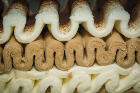 Tasty chocolate and vanilla ice cream sweet dessert.の写真素材