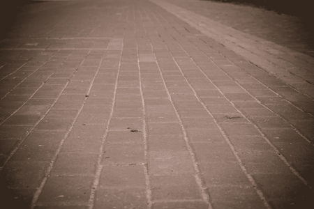 Old grunge park road pavement texture, natural vintage background.の写真素材