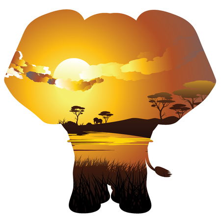 Colorful sunset scene, african landscape with silhouette of trees and elephant.のイラスト素材