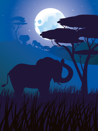 Colorful night scene, african landscape with silhouette of trees and elephant.のイラスト素材