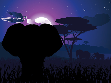 Colorful night scene, african landscape with silhouette of trees and elephant.のイラスト素材