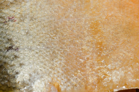 Close up of salmon fish scales as background.の写真素材