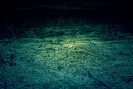 Weathered dry grass on the field in early spring, filtered background.の写真素材