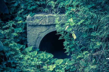 Large old concrete drain pipe, culvert in the grass, filtered background.