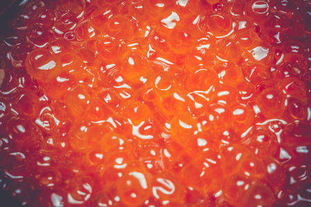 Fresh and tasty red salmon caviar close up filtered background.の写真素材