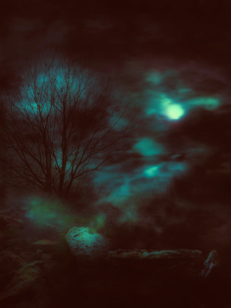 Mysterious foggy landscape full of gloomy shadows.の写真素材