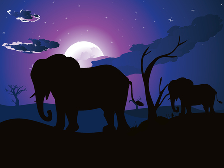 Colorful night scene, african landscape with silhouette of trees and elephant.のイラスト素材