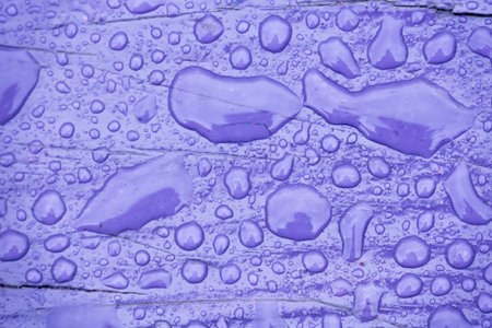 Wooden surface of violet color covered with water drops background.の写真素材