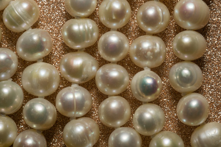 Natural white freshwater pearl necklace close up background.の写真素材