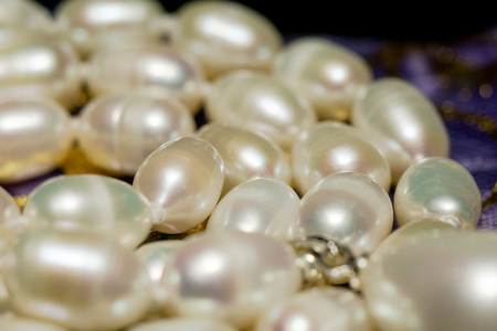 Natural white freshwater pearl necklace close up background.の写真素材