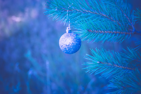 Decorative silver Christmas ball on a fir tree branch filtered background.の写真素材