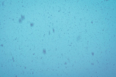 Fresh falling snow over grey sky close up background.