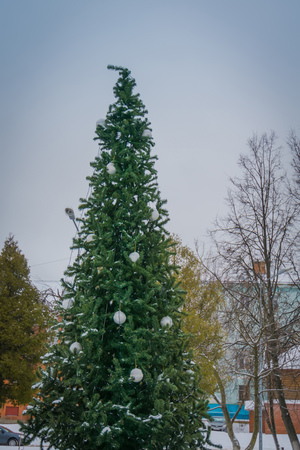 Fir tree decorated with colorful balls for Christmas time.の写真素材