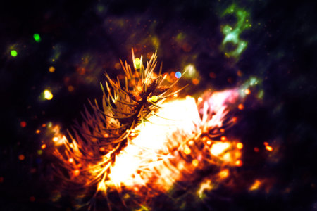 Fantasy glowing background with fir tree branches.の写真素材