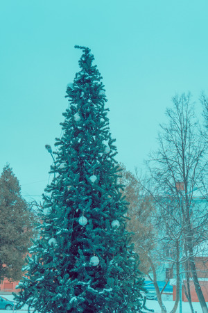 Fir tree decorated with colorful balls for Christmas time, filtered.の写真素材