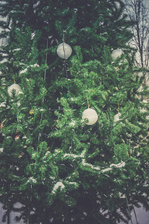 Fir tree decorated with colorful balls for Christmas time, filtered.の写真素材