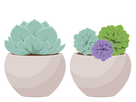 Popular houseplant succulent growing in a pot illustration.のイラスト素材