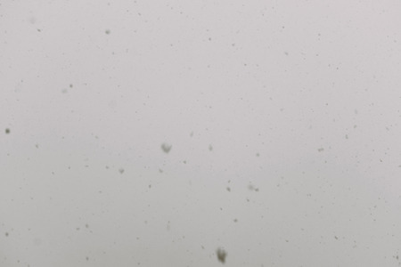 Fresh falling snow over grey sky close up background.の写真素材