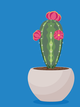 Popular houseplant succulent growing in a pot illustration.のイラスト素材
