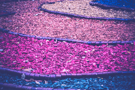 Decorative rows of colorful chips in the city park.の写真素材