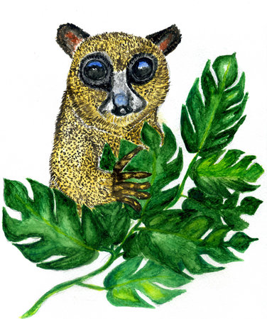 Portrait of a cute cartoon lemur painted in watercolor.