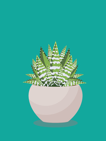 Popular houseplant succulent growing in a pot illustration.のイラスト素材