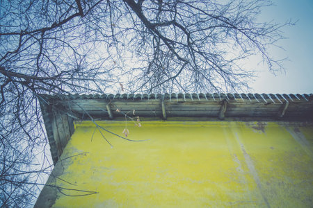 Row of small icicles on the roof of the house.の写真素材