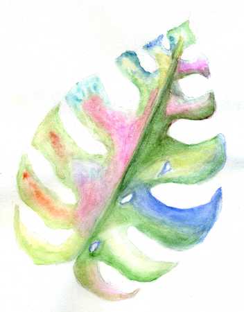 Decorative big green tropical leaves, monstera watercolor illustration.の写真素材