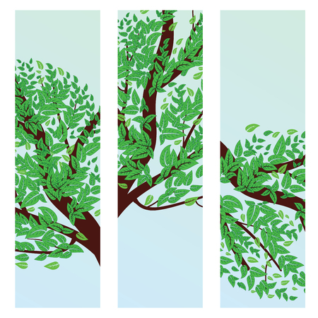 Spring, summer themed banner with green leaves on a tree branch.のイラスト素材