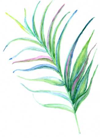 Decorative big green tropical leaves watercolor illustration.の写真素材