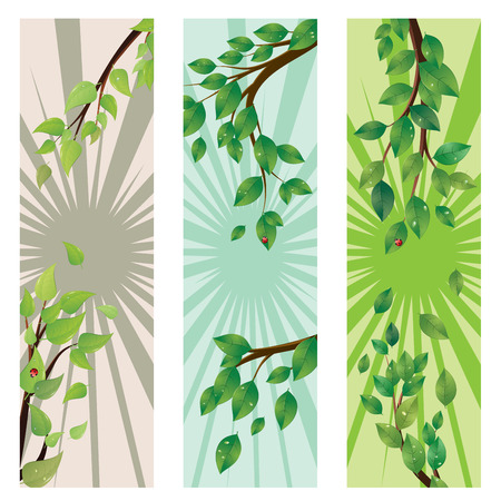 Spring, summer themed banner with green leaves on a tree branch.のイラスト素材