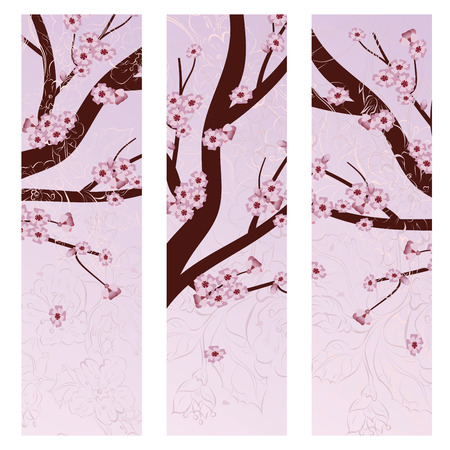 Spring themed banner with Sakura, cherry blossoms.のイラスト素材