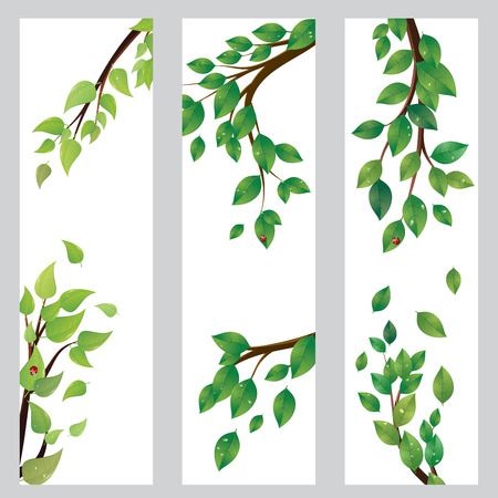 Spring, summer themed banner with green leaves on a tree branch.のイラスト素材
