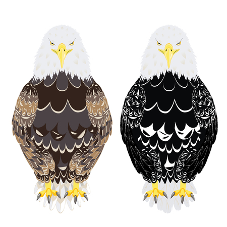Cartoon stylized bald eagle decorative design illustration.のイラスト素材