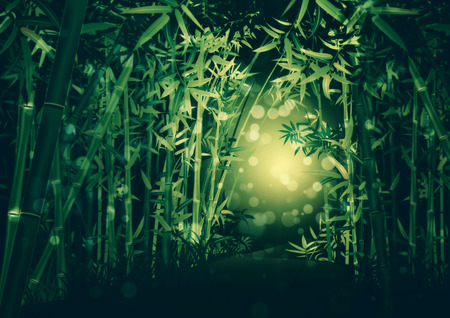 Green bamboo trees with leaves inside the forest landscape.の写真素材