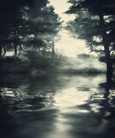 Foggy pine forest at night time, 3d illustration.の写真素材